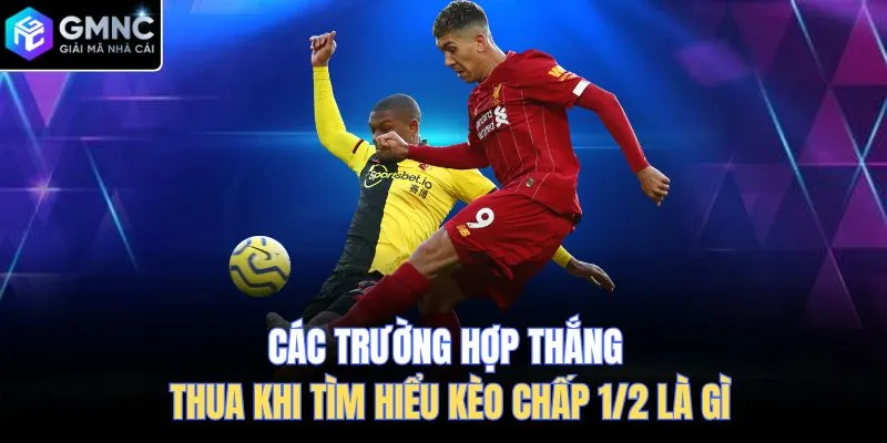 Các trường hợp thắng thua khi tìm hiểu kèo chấp 1/2 là gì